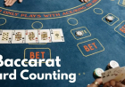 Baccarat Card Counting Guide